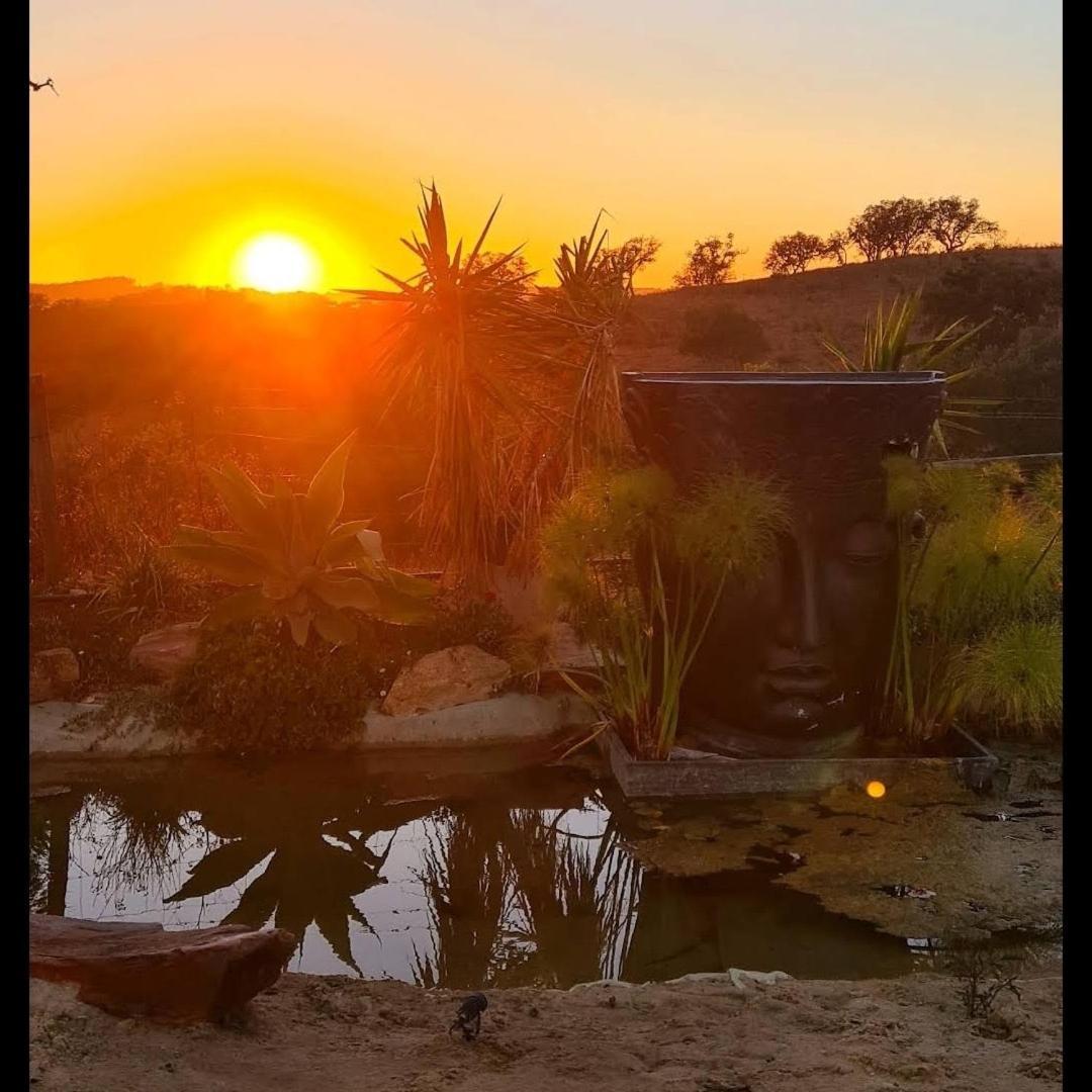 Alloggio per agriturismo Herdade Da Maceira São Luis