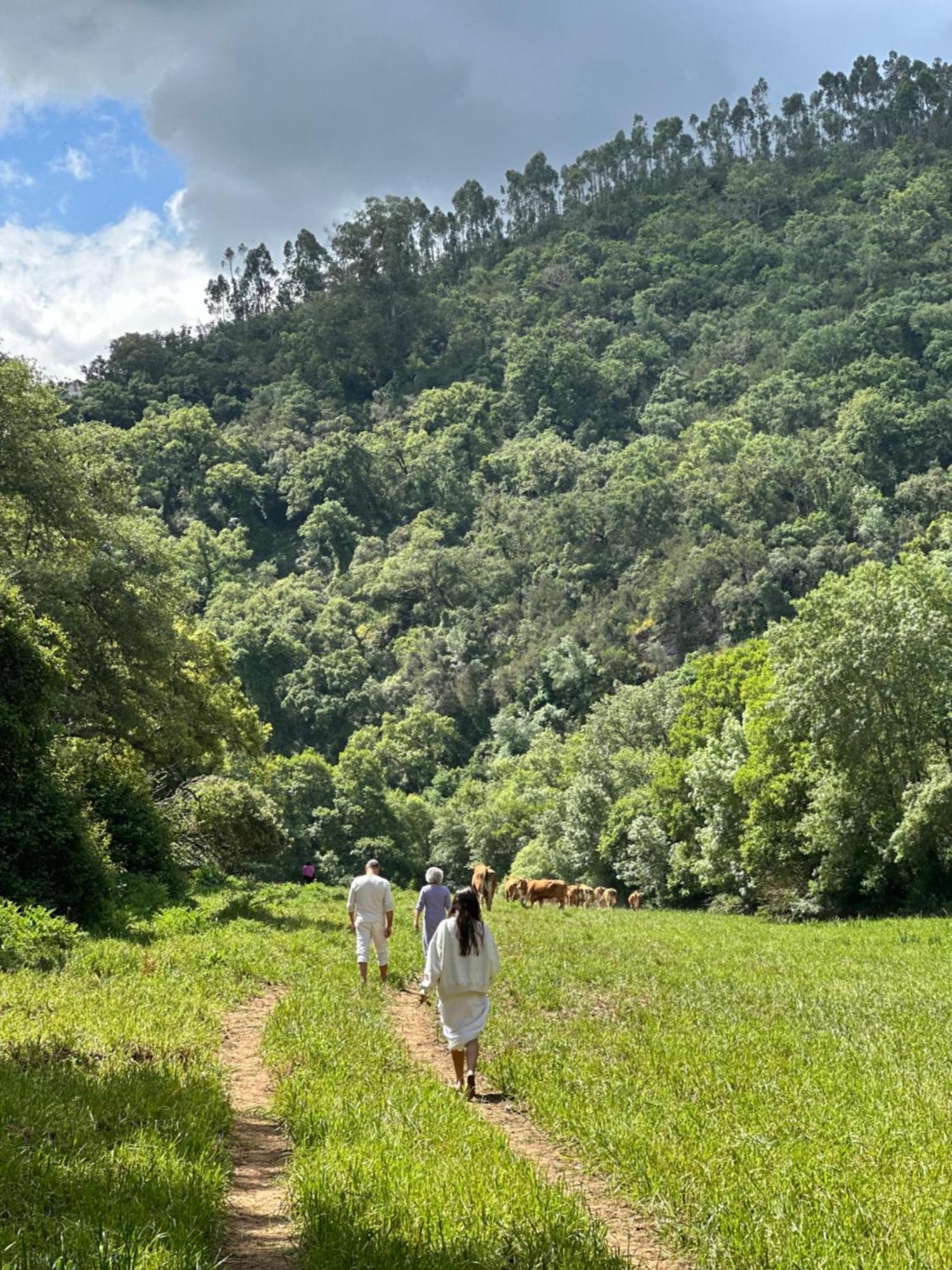Alloggio per agriturismo Herdade Da Maceira *