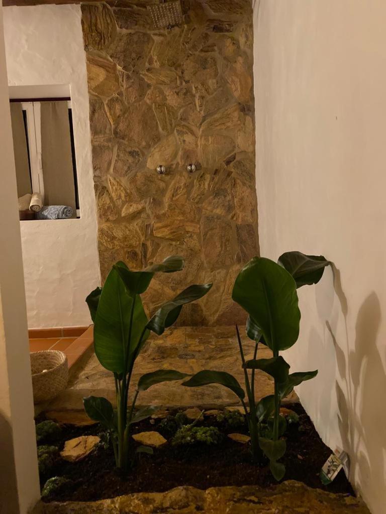 Herdade Da Maceira Gospodarstwo agroturystyczne *