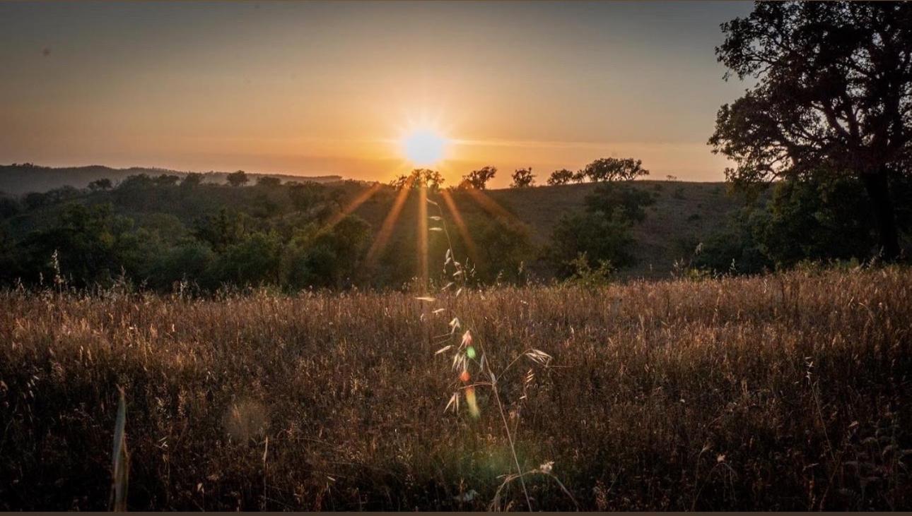 Herdade Da Maceira Alloggio per agriturismo
